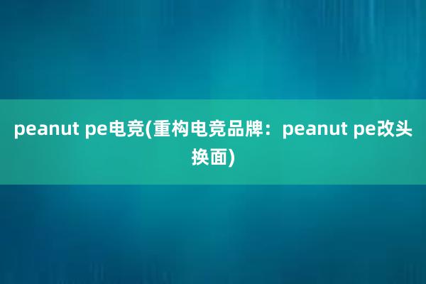 peanut pe电竞(重构电竞品牌：peanut pe改头换面)