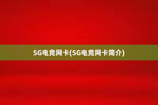 SG电竞网卡(SG电竞网卡简介)