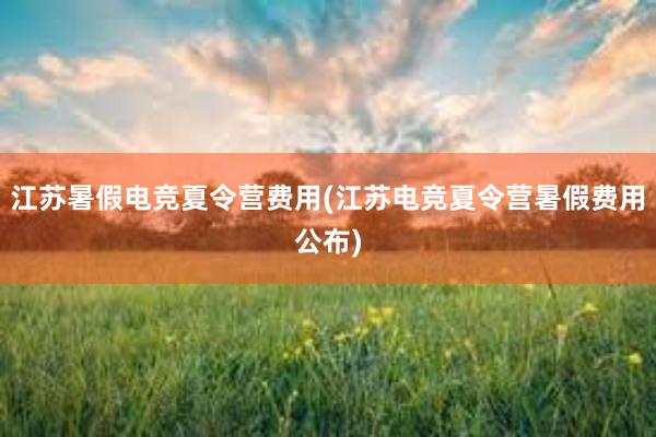 江苏暑假电竞夏令营费用(江苏电竞夏令营暑假费用公布)