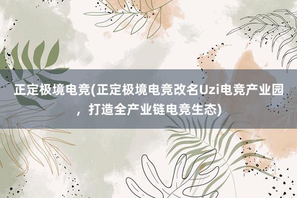 正定极境电竞(正定极境电竞改名Uzi电竞产业园，打造全产业链电竞生态)