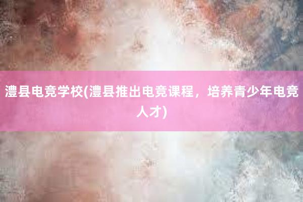 澧县电竞学校(澧县推出电竞课程，培养青少年电竞人才)