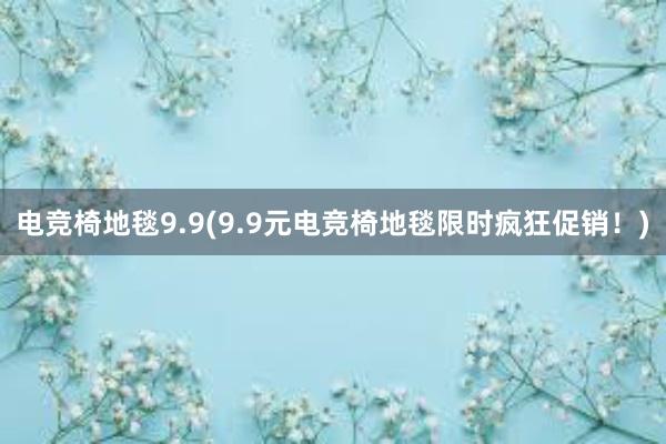 电竞椅地毯9.9(9.9元电竞椅地毯限时疯狂促销！)