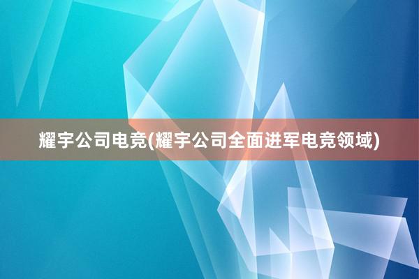 耀宇公司电竞(耀宇公司全面进军电竞领域)