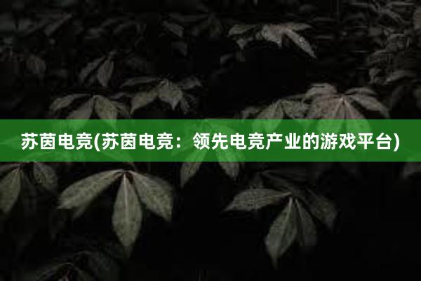 苏茵电竞(苏茵电竞：领先电竞产业的游戏平台)