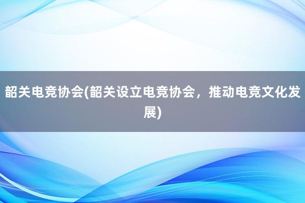 韶关电竞协会(韶关设立电竞协会，推动电竞文化发展)