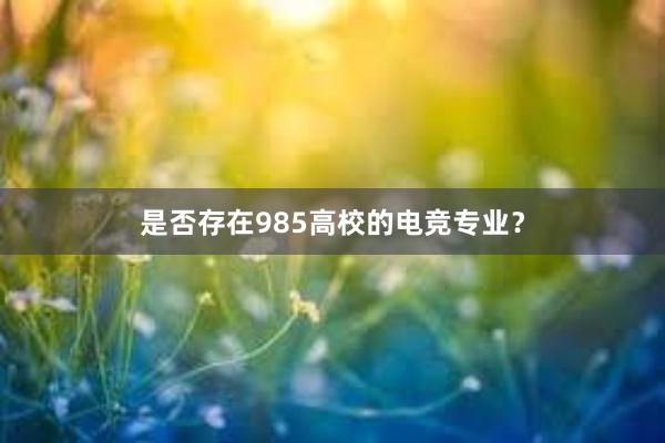 是否存在985高校的电竞专业？