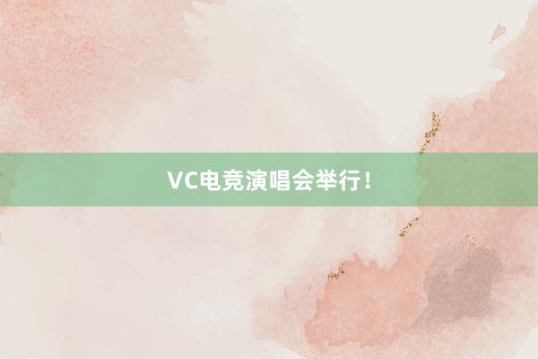 VC电竞演唱会举行！