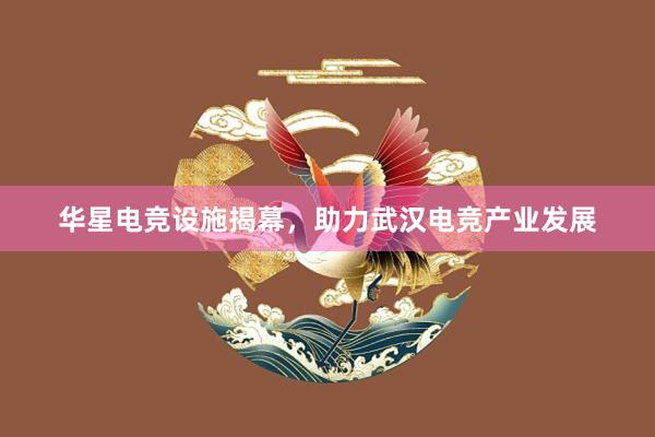 华星电竞设施揭幕，助力武汉电竞产业发展