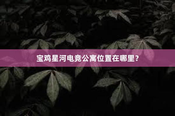 宝鸡星河电竞公寓位置在哪里？