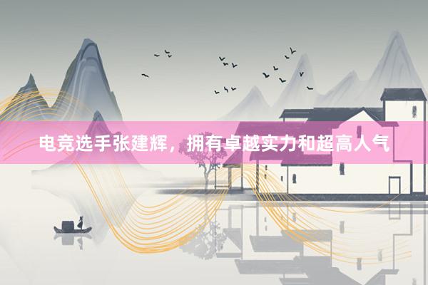 电竞选手张建辉，拥有卓越实力和超高人气