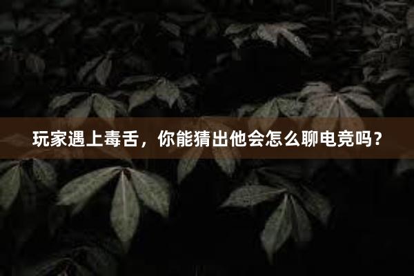 玩家遇上毒舌，你能猜出他会怎么聊电竞吗？