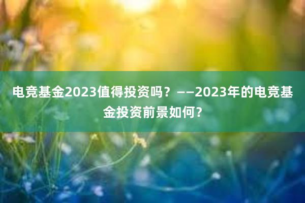 电竞基金2023值得投资吗？——2023年的电竞基金投资前景如何？