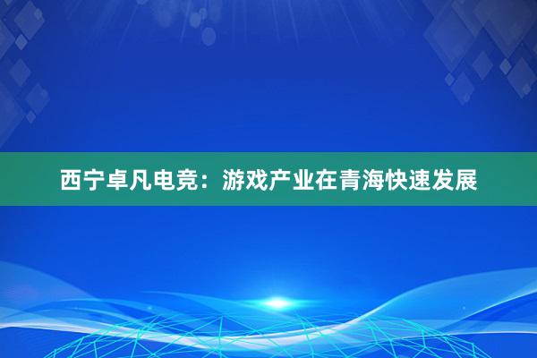 西宁卓凡电竞：游戏产业在青海快速发展