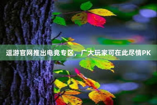 逗游官网推出电竞专区，广大玩家可在此尽情PK