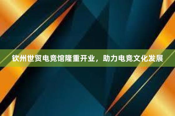 钦州世贸电竞馆隆重开业，助力电竞文化发展